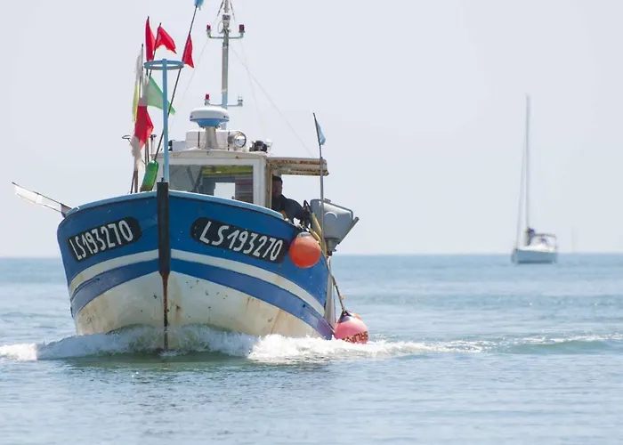 Maison Renovee 5 Chambres, Wifi, Parking, A 800m Du Marche Et 1km - Fr-1-92-891 *