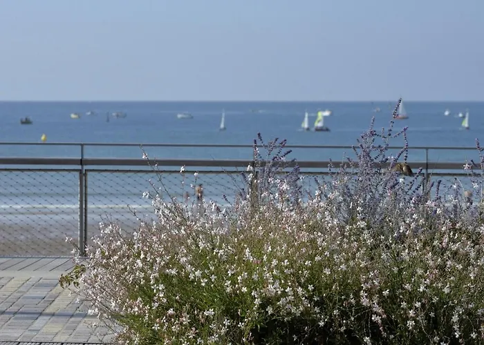 Casa vacanze Maison Rénovée 5 Chambres, Wifi, Parking, à 800m Du Marché Et 1km - Fr-1-92-891 Les Sables-dʼOlonne